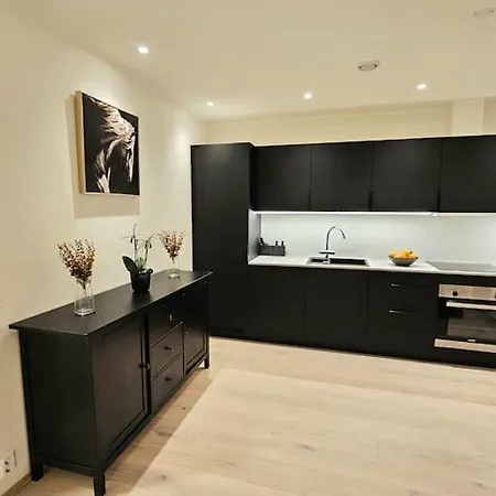 Koselig Enderekkehus I Nybygg! Apartment Bergen
